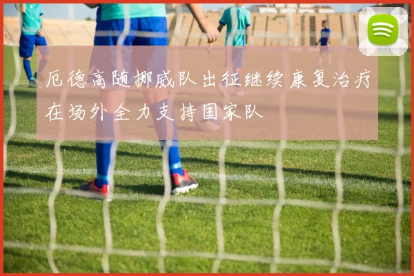 厄德高随挪威队出征继续康复治疗在场外全力支持国家队