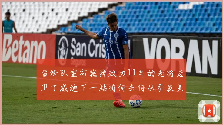 黄蜂队宣布裁掉效力11年的老将后卫丁威迪下一站将何去何从引发关注